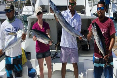 Incredible Excursions, Tours & Boat Rentals in Cabo image 202