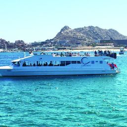 Incredible Excursions, Tours & Boat Rentals in Cabo image 164