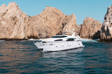 Incredible Excursions, Tours & Boat Rentals in Cabo image 41