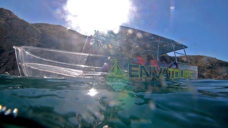 Incredible Excursions, Tours & Boat Rentals in Cabo image 178