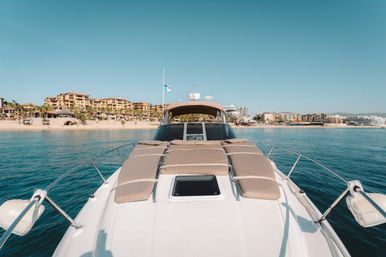 Incredible Excursions, Tours & Boat Rentals in Cabo image 82