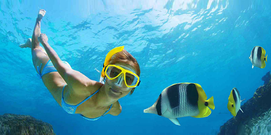 Incredible Excursions, Tours & Boat Rentals in Cabo image 218