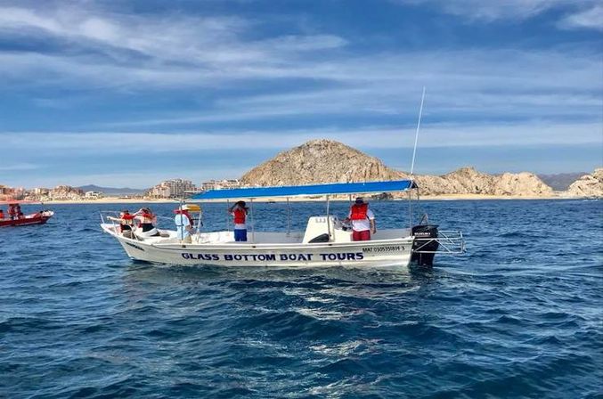 Incredible Excursions, Tours & Boat Rentals in Cabo image 185