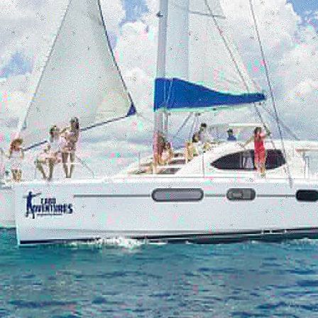 Incredible Excursions, Tours & Boat Rentals in Cabo image 137