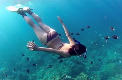 Snorkeler in a bikini and fins gliding over a tropical coral reef, surrounded by small colorful fish in clear turquoise water.