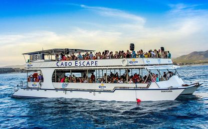 Incredible Excursions, Tours & Boat Rentals in Cabo image 167