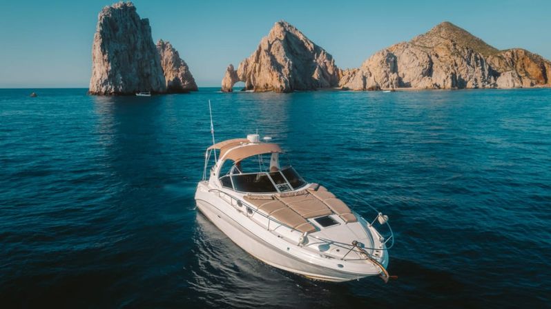 Incredible Excursions, Tours & Boat Rentals in Cabo image 86