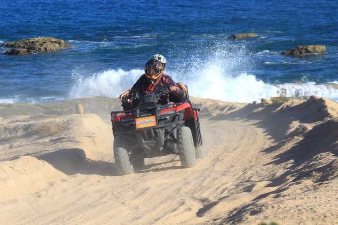 Incredible Excursions, Tours & Boat Rentals in Cabo image 97