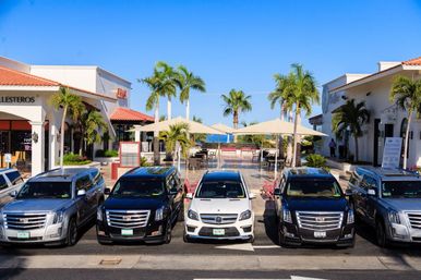 Incredible Excursions, Tours & Boat Rentals in Cabo image 127