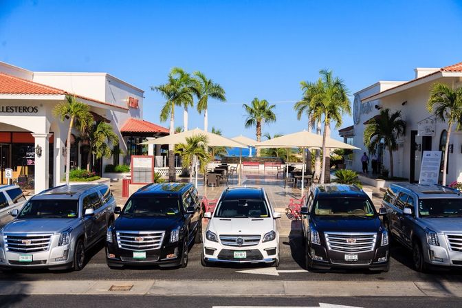 Incredible Excursions, Tours & Boat Rentals in Cabo image 127