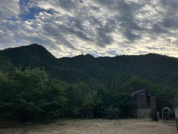 Incredible Excursions, Tours & Boat Rentals in Cabo image 131