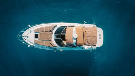 Incredible Excursions, Tours & Boat Rentals in Cabo image 88