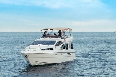 Incredible Excursions, Tours & Boat Rentals in Cabo image 139