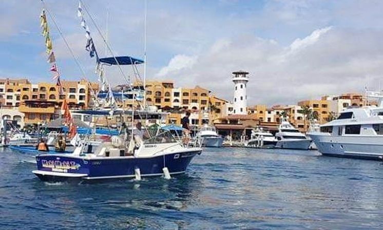 Incredible Excursions, Tours & Boat Rentals in Cabo image 193
