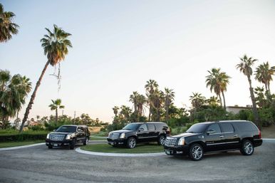 Three sleek black luxury SUVs parked on a palm-tree–lined roundabout at sunset, tropical landscaping and clear sky in the background.