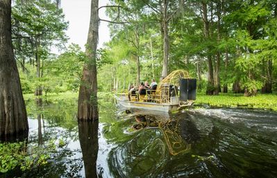 Airboat tour in a Louisiana cypress swamp — passengers aboard a fan-powered boat gliding through mirrored bayou waters surrounded by lush green wetlands