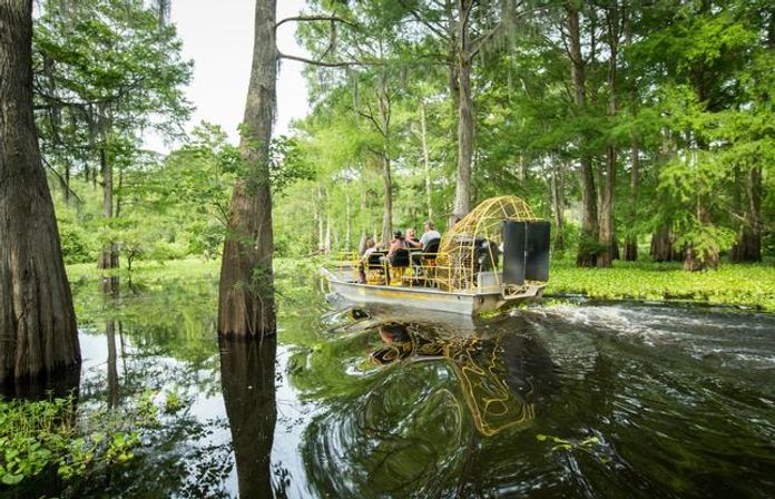 Airboat tour in a Louisiana cypress swamp — passengers aboard a fan-powered boat gliding through mirrored bayou waters surrounded by lush green wetlands