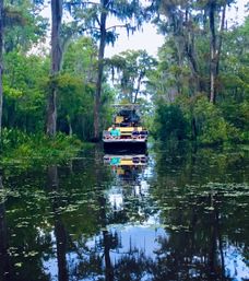 Airboat carrying passengers through a moss-draped cypress swamp, Spanish moss and tall trees reflected in calm southern bayou water.