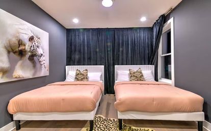 Modern twin bedroom with two white-upholstered beds in peach-pink duvets and patterned throw pillows, dark gray walls, floor-to-ceiling black curtains, large white tiger wall art, window, and leopard-print rug.