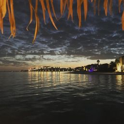 Twilight view of a lit coastal bridge over a calm bay, waterfront homes and palm trees reflected in rippling water, framed by thatched palm fronds.