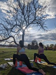 Two people practicing outdoor yoga lunges on mats with blocks in a sunny urban park, bare tree silhouette against blue sky and sun, grassy field and distant skyline