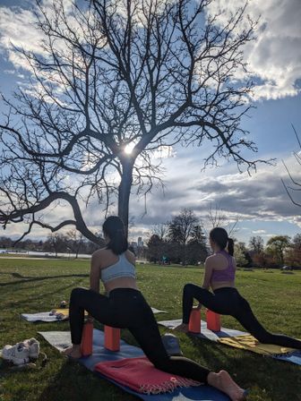 Two people practicing outdoor yoga lunges on mats with blocks in a sunny urban park, bare tree silhouette against blue sky and sun, grassy field and distant skyline
