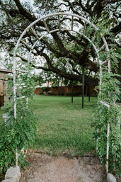 Charming white metal garden arch wrapped in green climbing vines opening onto a lush backyard lawn with a sprawling live oak tree and wooden fence