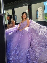 Utah Party Bus & Limousine Rentals - Limo Cloud 9 image 35