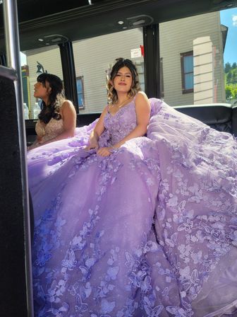 Utah Party Bus & Limousine Rentals - Limo Cloud 9 image 35