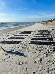Rows of black yoga mats laid out on a sunny oceanfront sandy beach with gentle waves and a bright blue sky, people strolling in the distance — a beach yoga class setup.