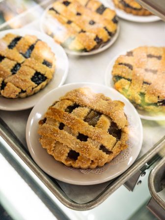 Assorted mini lattice-top fruit pies on white plates in a bakery display case, golden sugared crusts and rustic fillings.