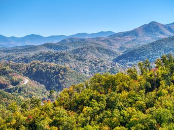 Vibrant autumn forest blanketing rolling mountain ridges with a winding road through the valley under a clear blue sky