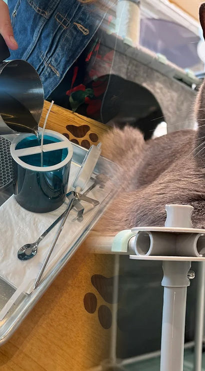 wicks & whiskers