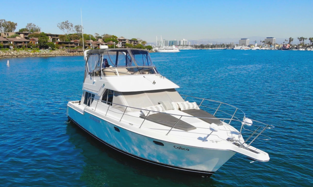 White luxury motor yacht afloat on calm blue harbor waters with coastal homes and a distant city skyline under a clear sunny sky