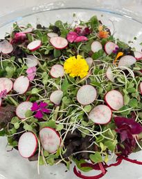 Vibrant microgreen salad in a glass bowl with thin radish slices, sprouts, mixed greens and colorful edible flowers (yellow and magenta)
