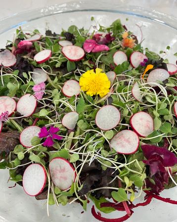 Vibrant microgreen salad in a glass bowl with thin radish slices, sprouts, mixed greens and colorful edible flowers (yellow and magenta)