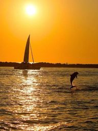 Golden sunset over the ocean with a silhouetted sailboat near a rocky jetty and a dolphin leaping from the water, sunlight sparkling on rippling sea