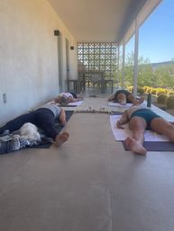 Four people lying in savasana on yoga mats on a shaded desert porch, a small white dog curled by a mat, barrel cacti and low desert hills under a clear blue sky.