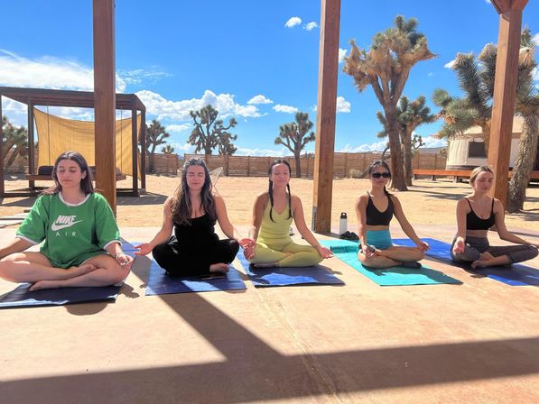 Five people meditating cross-legged on yoga mats under a wooden pergola in a sunny desert with Joshua trees and a bright blue sky — outdoor yoga/meditation retreat