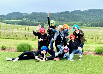 Private Day Drinking Wine Tasting & Party Van Tours image 19