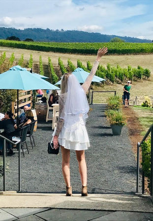 Private Day Drinking Wine Tasting & Party Van Tours image 9