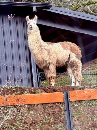 Private Day Drinking Wine Tasting & Party Van Tours image 15