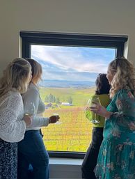 Private Day Drinking Wine Tasting & Party Van Tours image 14