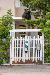 Best Central Beach House W/ Water Sport Services! image 30