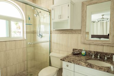 Sunlit beach-style bathroom with glass walk-in shower, chrome handheld showerhead, arched window with palm view, tiled walls, white toilet and vanity with granite countertop and framed mirror.