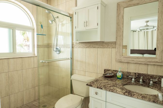 Sunlit beach-style bathroom with glass walk-in shower, chrome handheld showerhead, arched window with palm view, tiled walls, white toilet and vanity with granite countertop and framed mirror.