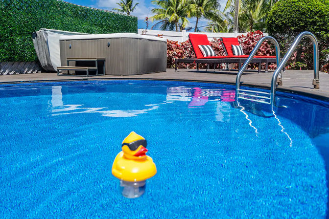 Yellow rubber duck wearing sunglasses floating in a bright blue backyard pool beside a hot tub, red lounge chairs and palm trees under a sunny sky