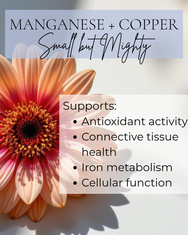 Infographic with peach gerbera daisy background and headline Manganese + Copper — Small but Mighty, listing benefits: antioxidant activity, connective tissue health, iron metabolism, and cellular function.