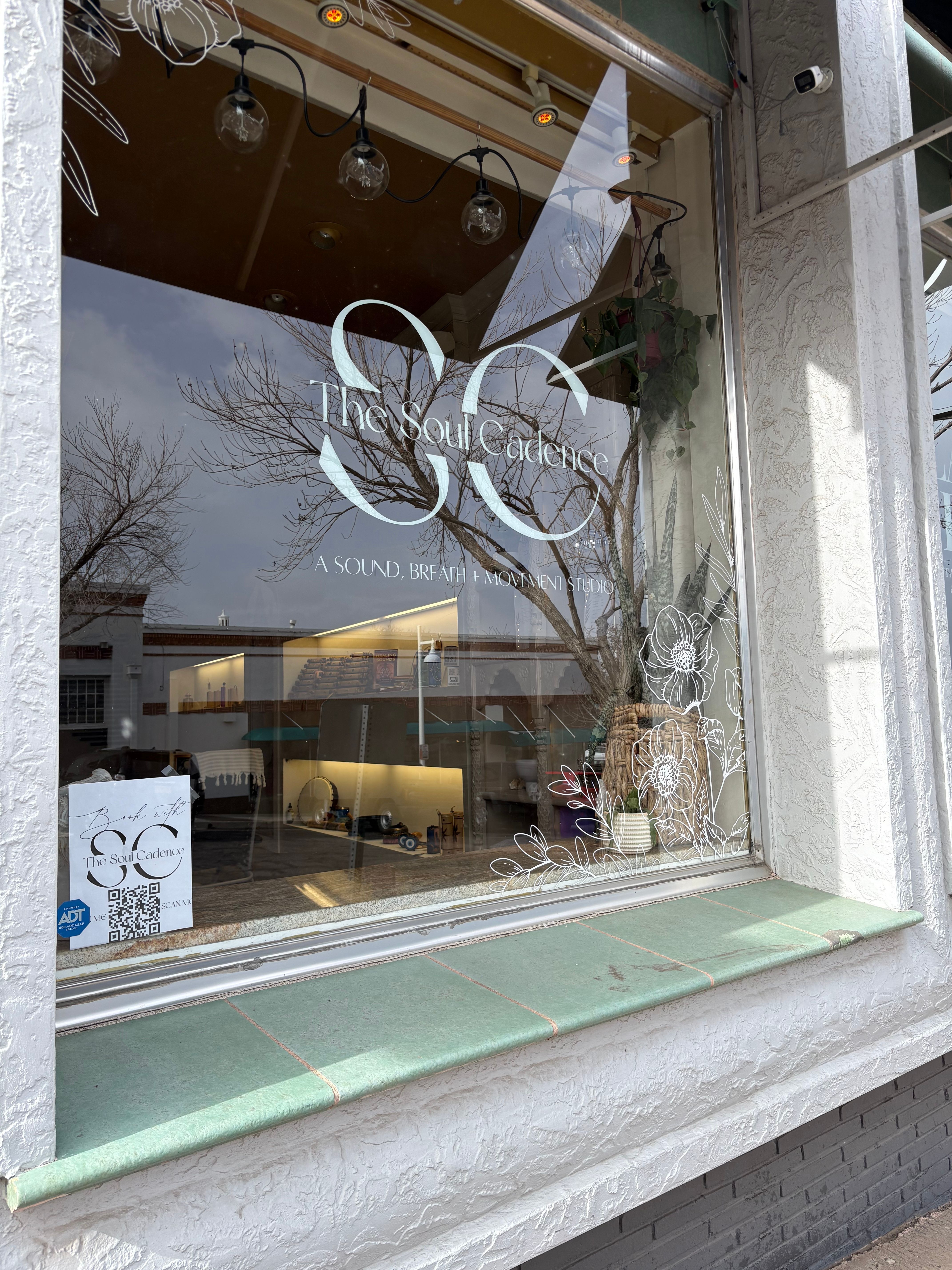 Downtown storefront window featuring a large white logo and hand-drawn floral vinyl decals, hanging globe lights and a potted plant inside, glass reflecting bare trees above a green-tiled window ledge.