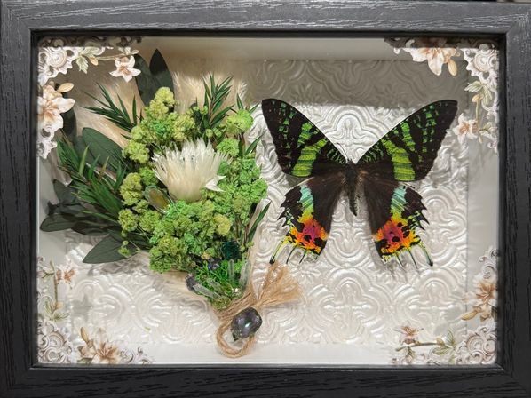 Framed shadow-box botanical decor featuring a preserved green bouquet with crystals beside a large iridescent green-black butterfly on an embossed white background.